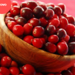 fruta vermelha cranberry
