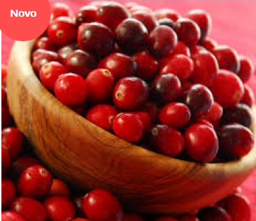 fruta vermelha cranberry