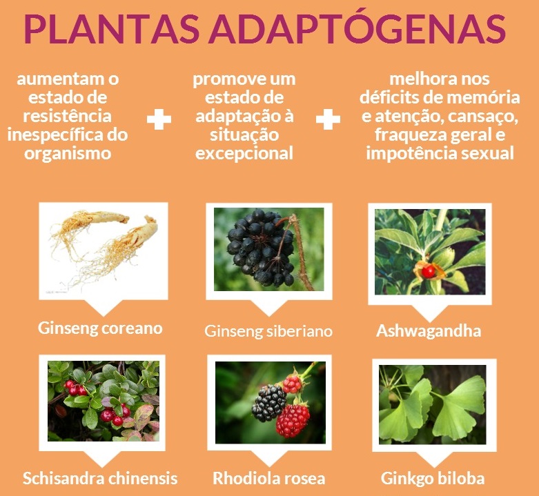 plantas adaptógenas