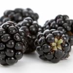 extrato de amora pra que serve?