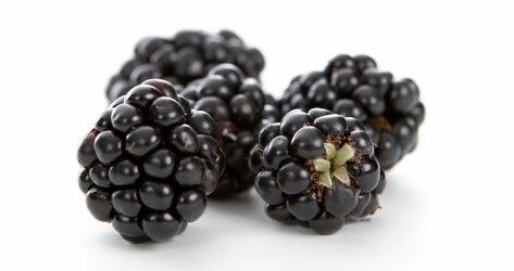 extrato de amora pra que serve?