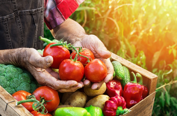 Os benefícios dos alimentos orgânicos
